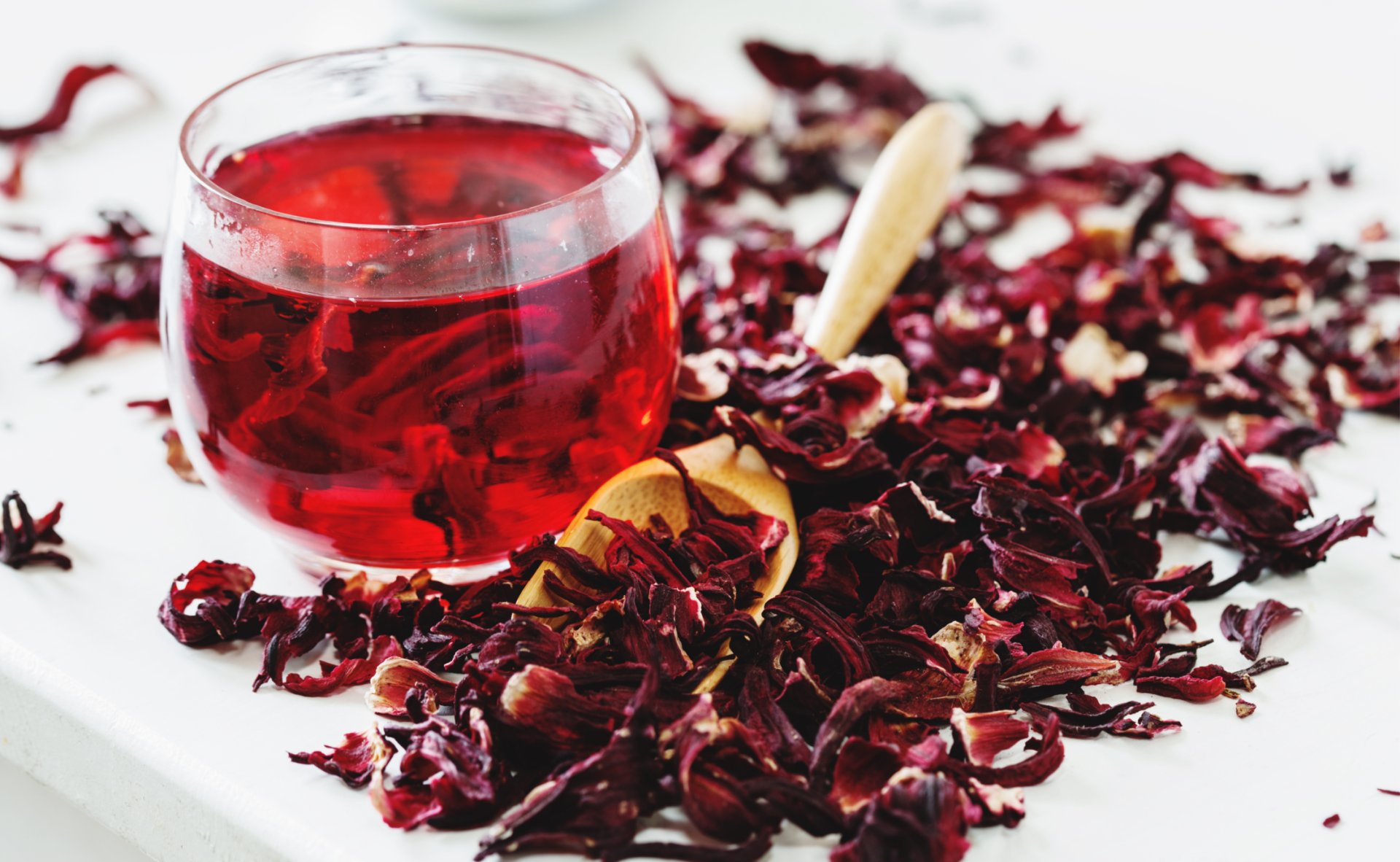 Hibiszkus Canva